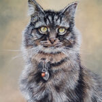 Cat-portrait-26-06-2024
