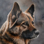 Acrylic on canvas board